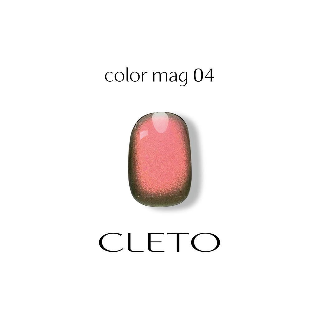 Cleto Color Magnetic Gel MAG-04 – Zillabeau
