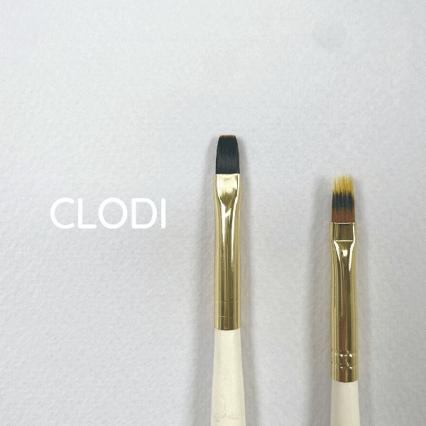[Pre-order] Clodi Brush (Oval / Gradient)