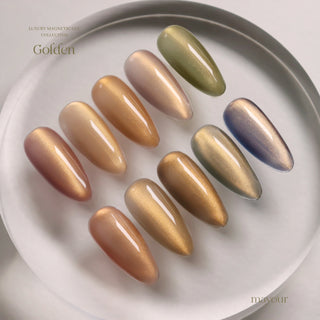 Mayour Golden Collection - 10 Magnetic Color Set