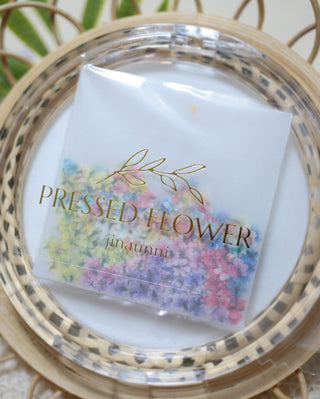 Jinaunni Pressed Flower Set