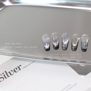 F Gel Silver Collection - 5 Magnetic Color Set