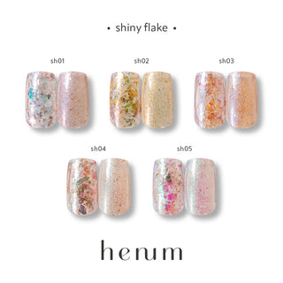 Henum Shiny Flakes 5 Color Set