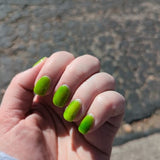 Customer photo